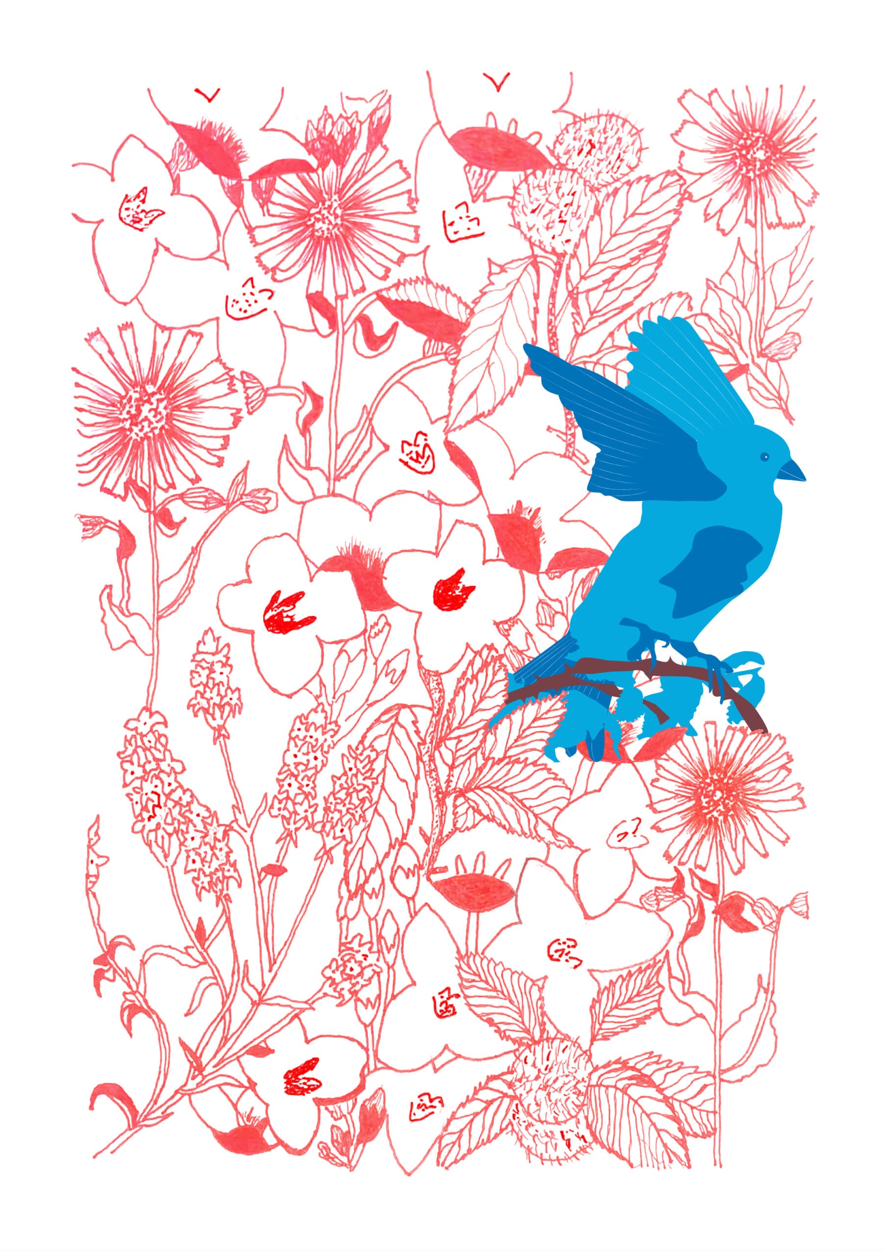 Image hover effect image